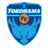 Yokohama FC Martılar (Kadınlar)