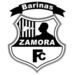 Real Zamora